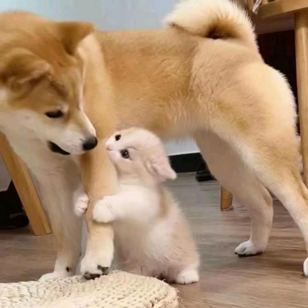 说 你