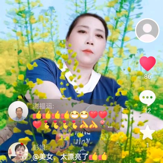 平淡的幸福