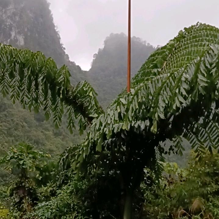 河边钓鱼