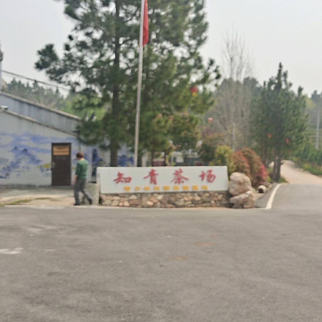 红安知青茶厂（汐月）