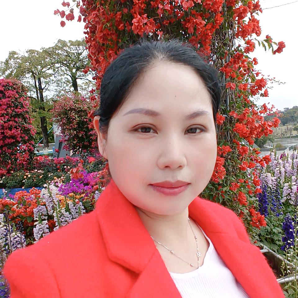琴蕊