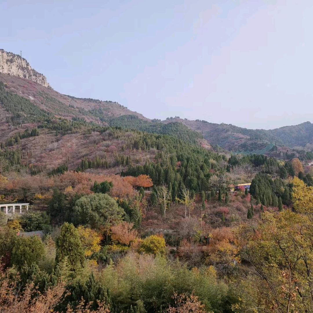 张店烧烤