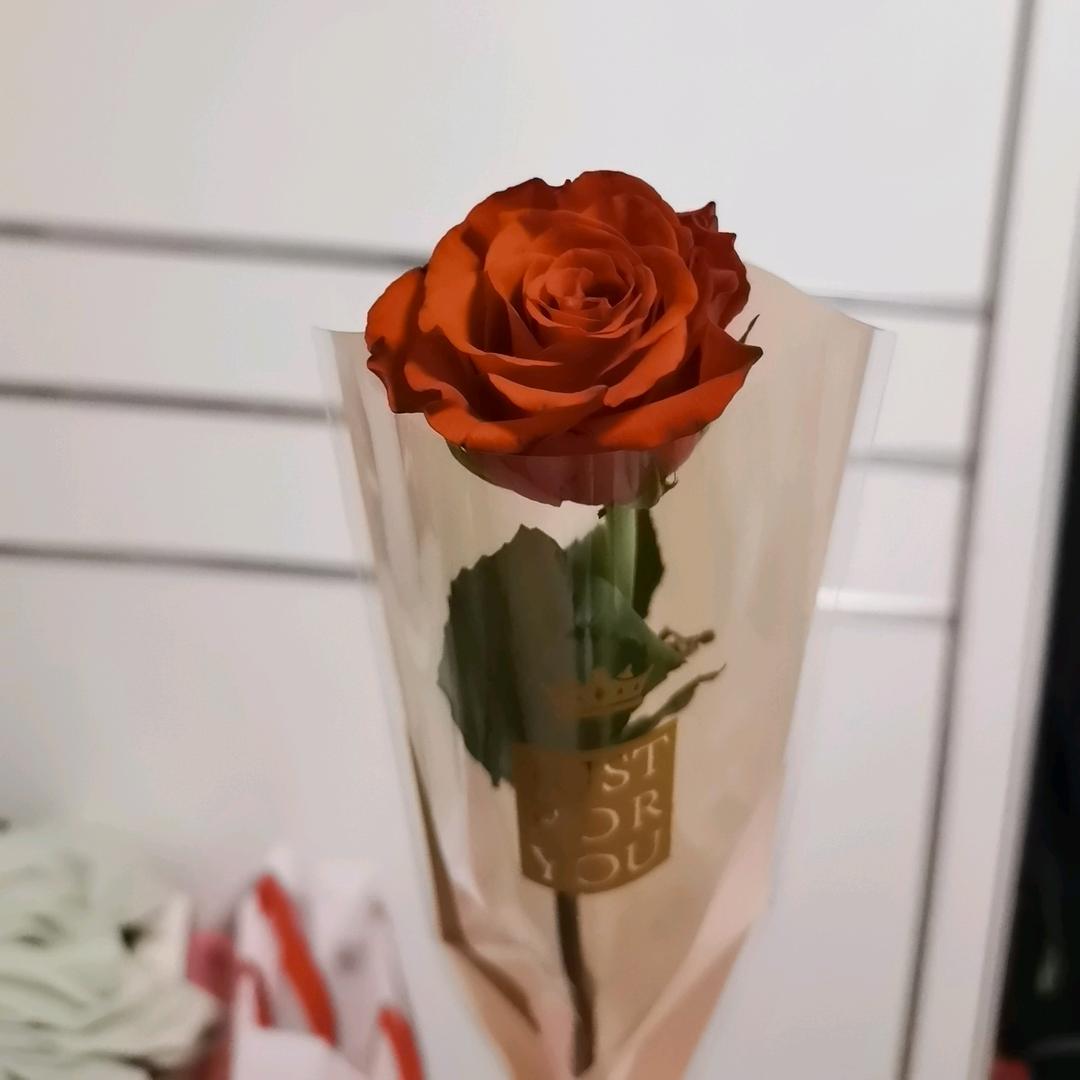 小娴儿