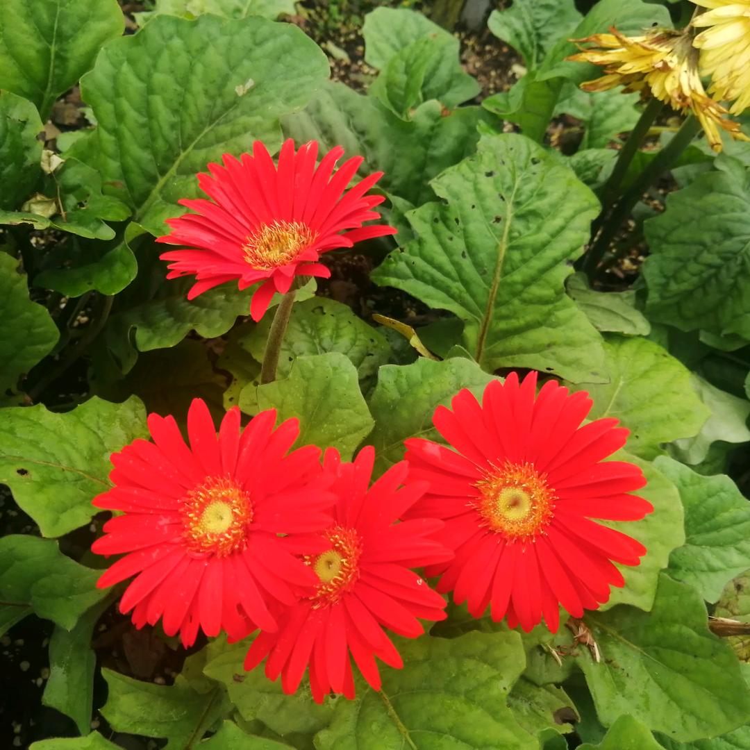 ༒༄༅Y ♡Α あΝ༂g༺❦