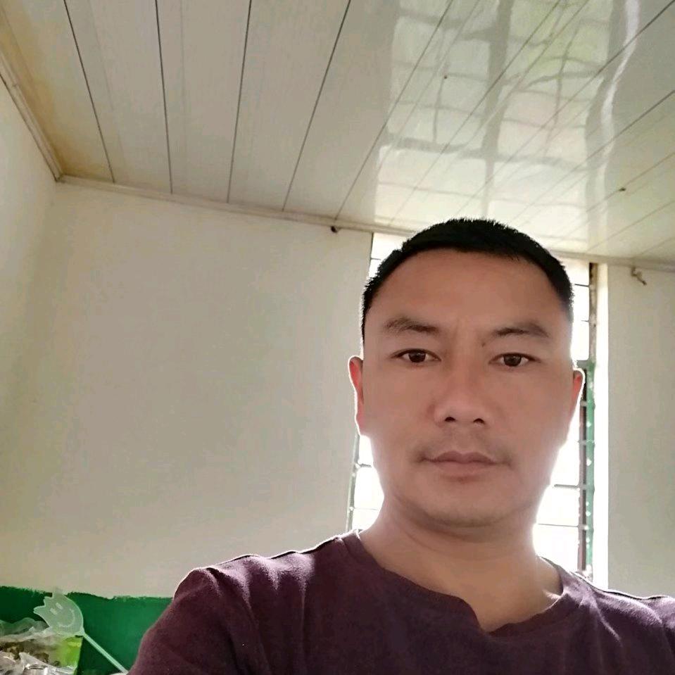 沐日月之光