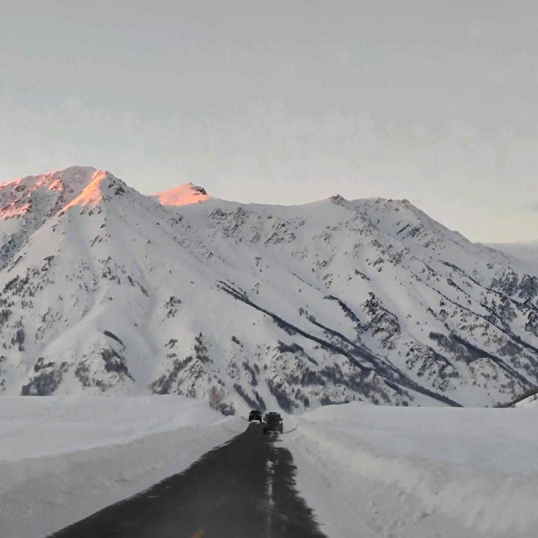 八月🌙🌙🌙🌙