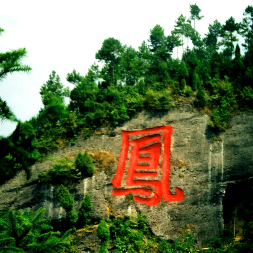 熊摆龙门阵