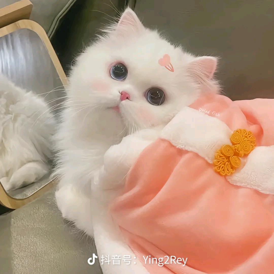 就喜欢你看不惯我又干不掉我的样子