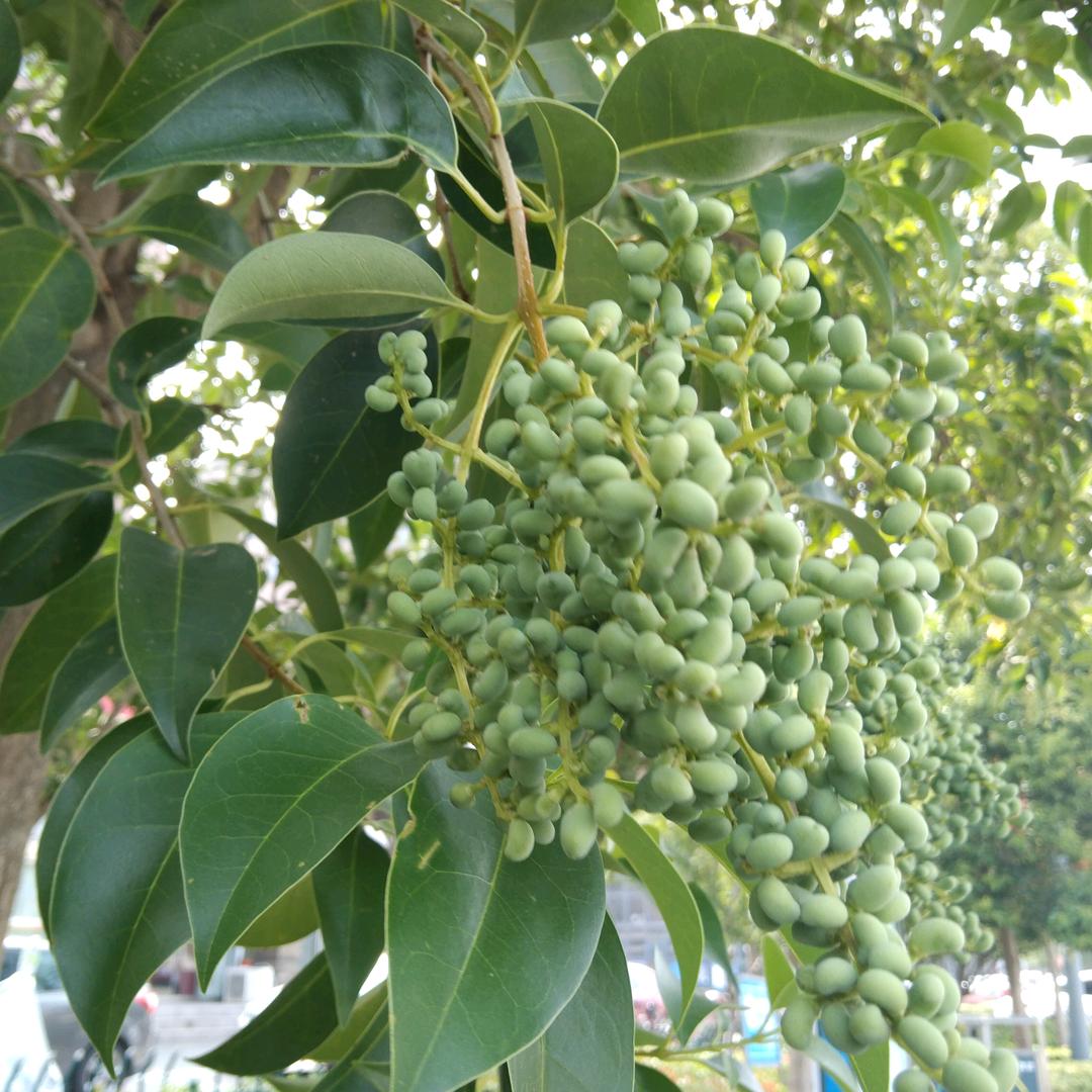 赣榆王婆