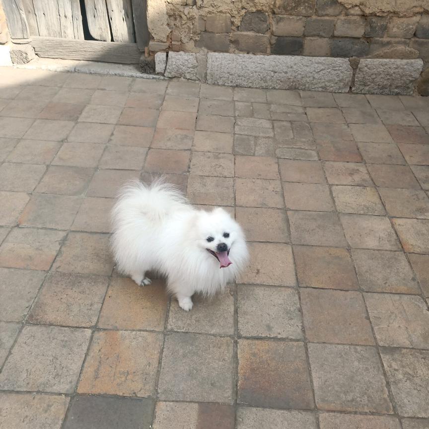 风云