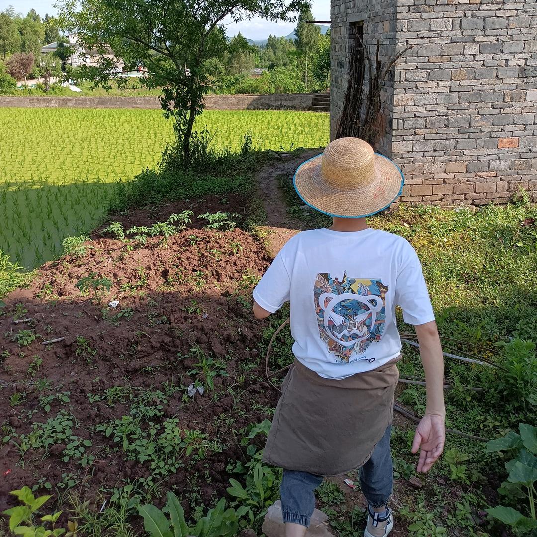 杨歪歪不歪
