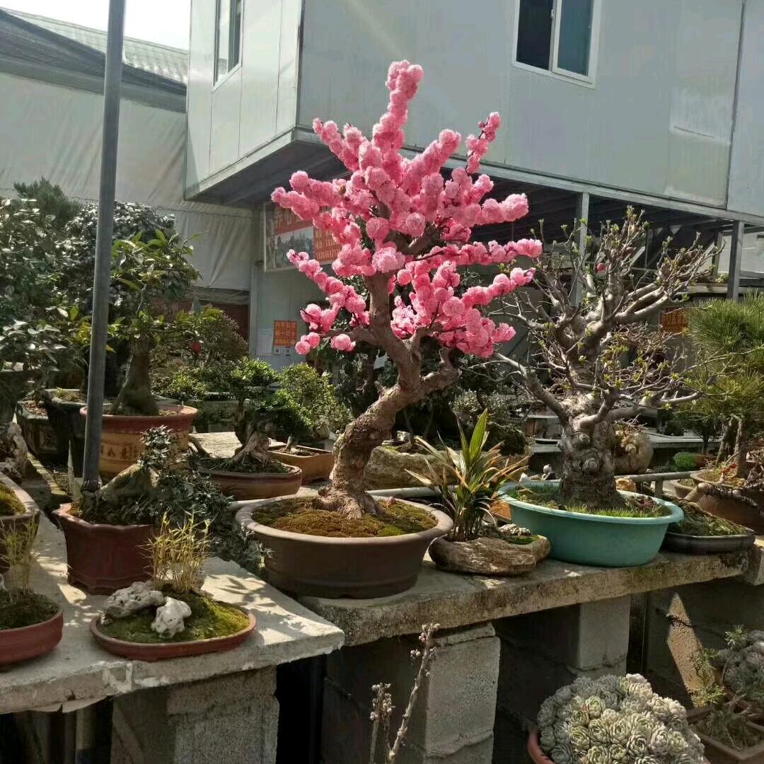真情无距离，专业土石方工程