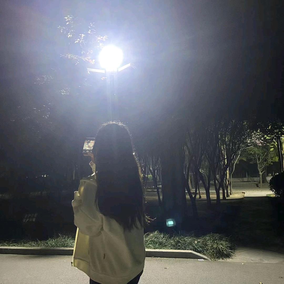 柳.