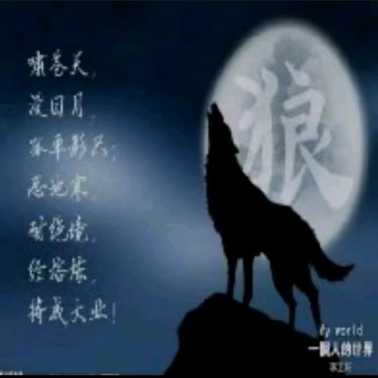 狼殿下