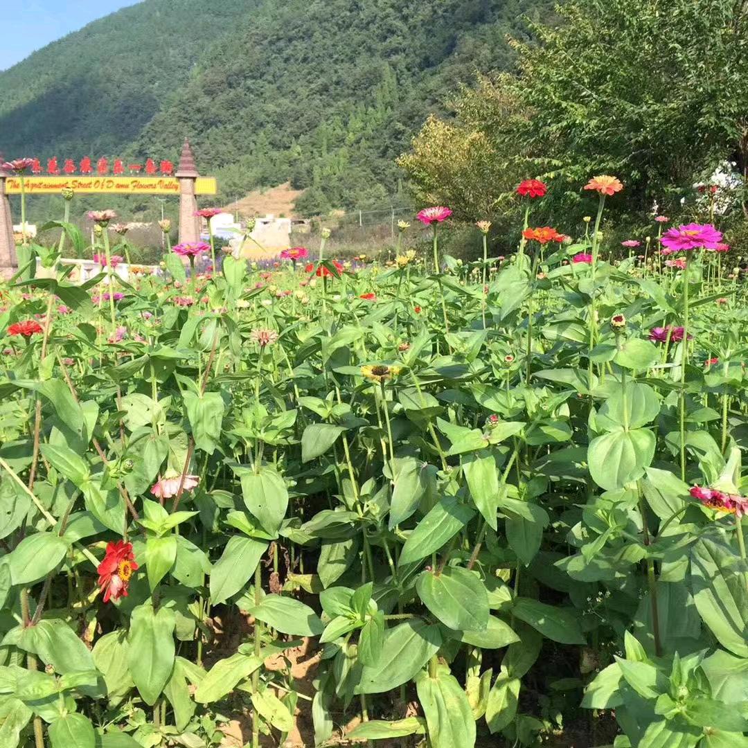 一诺千金