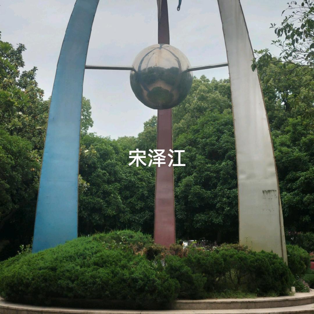 宋泽江