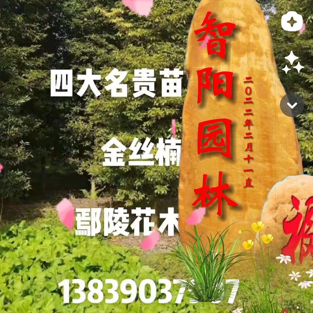 智阳园林