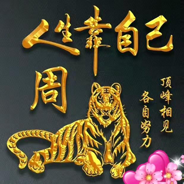豪情@龙转乾坤&