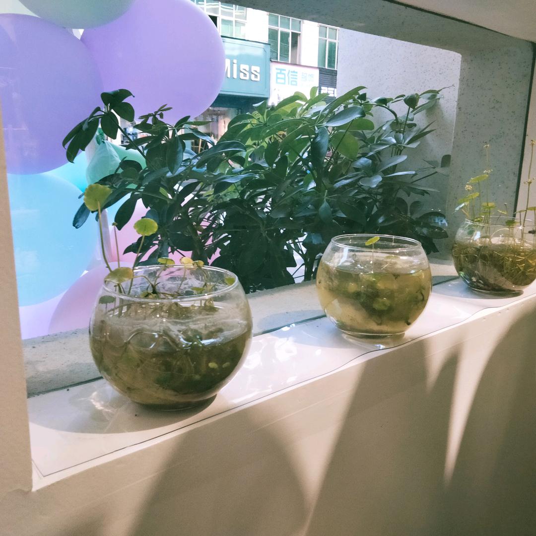 笑盈盈☁