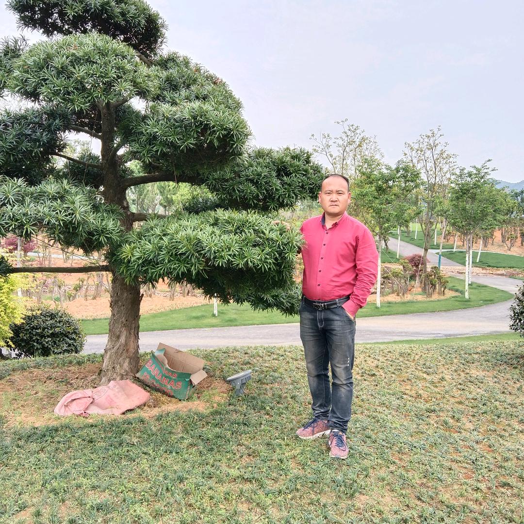 汪红好