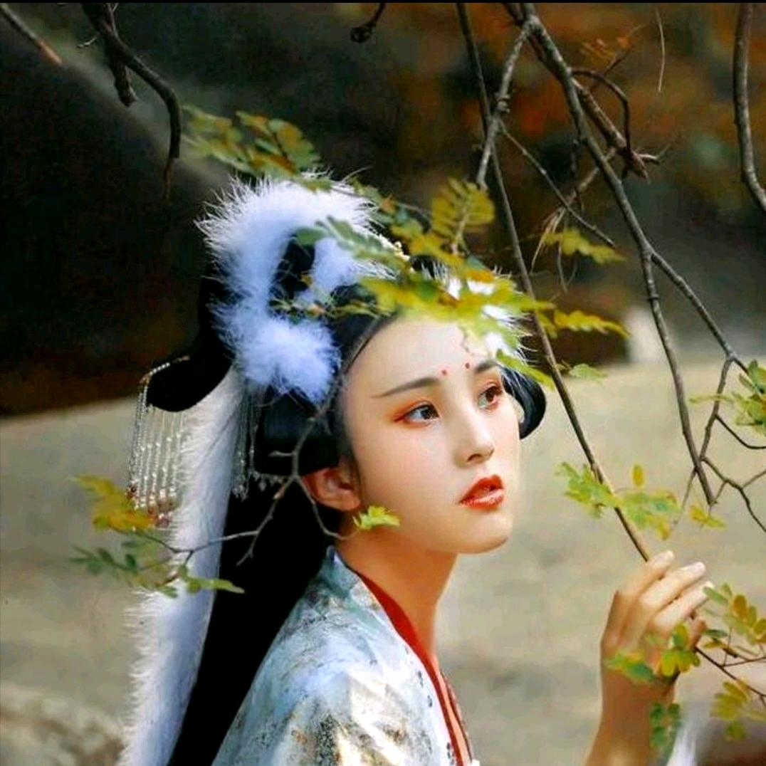 二姐(拒绝私聊)