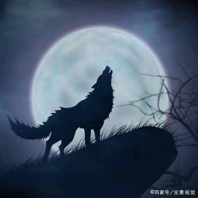 簡单陪伴