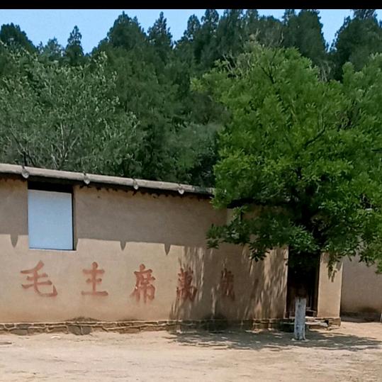 觀海聽濤