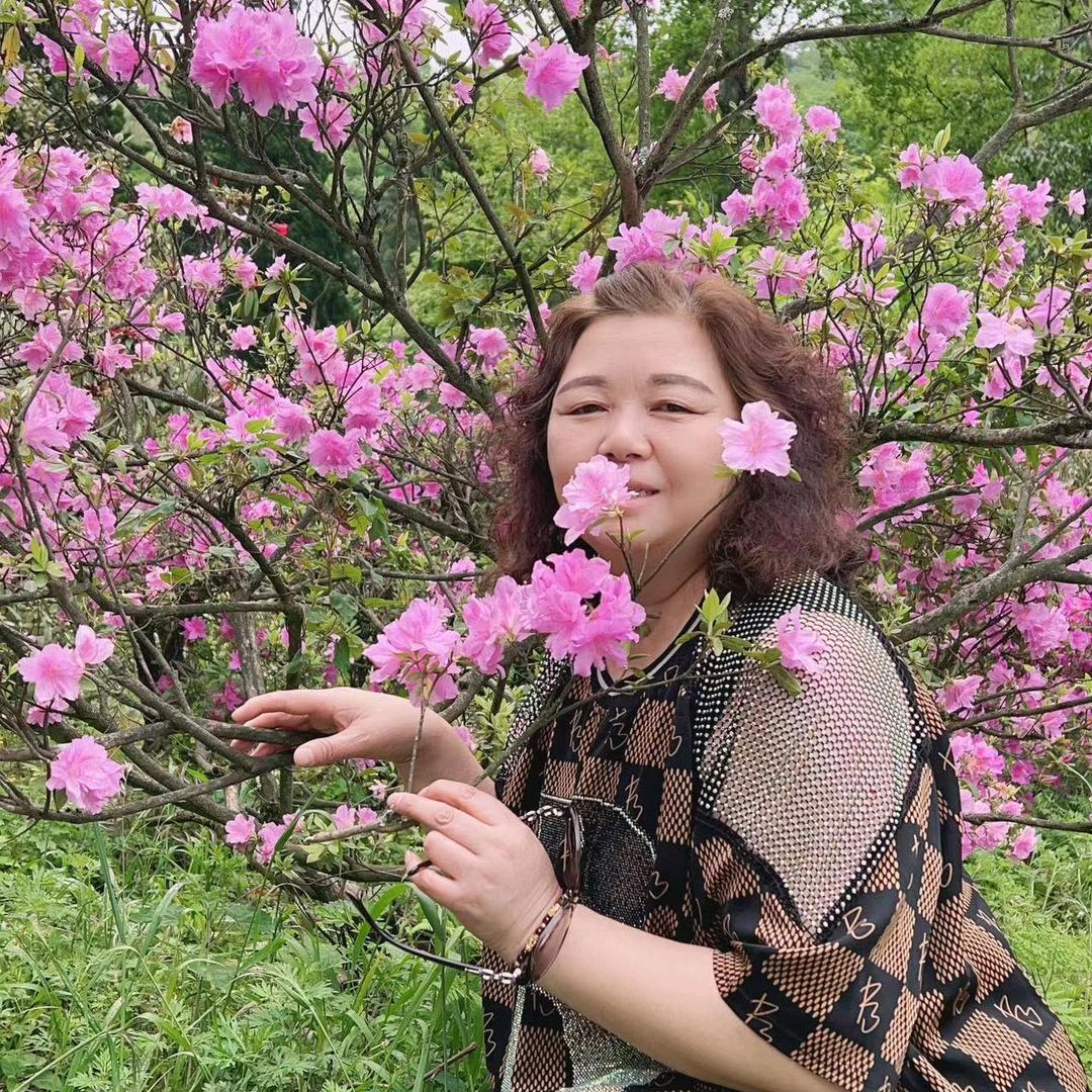 丽姐775290