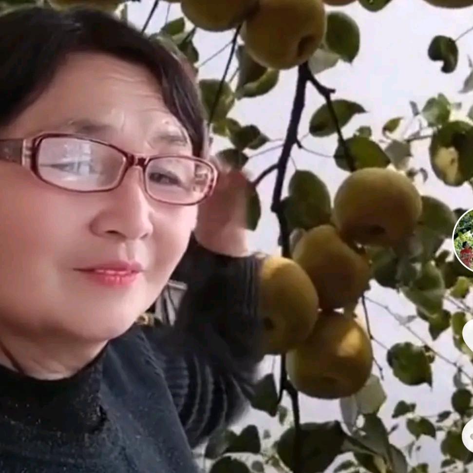 清风（俢心养性）