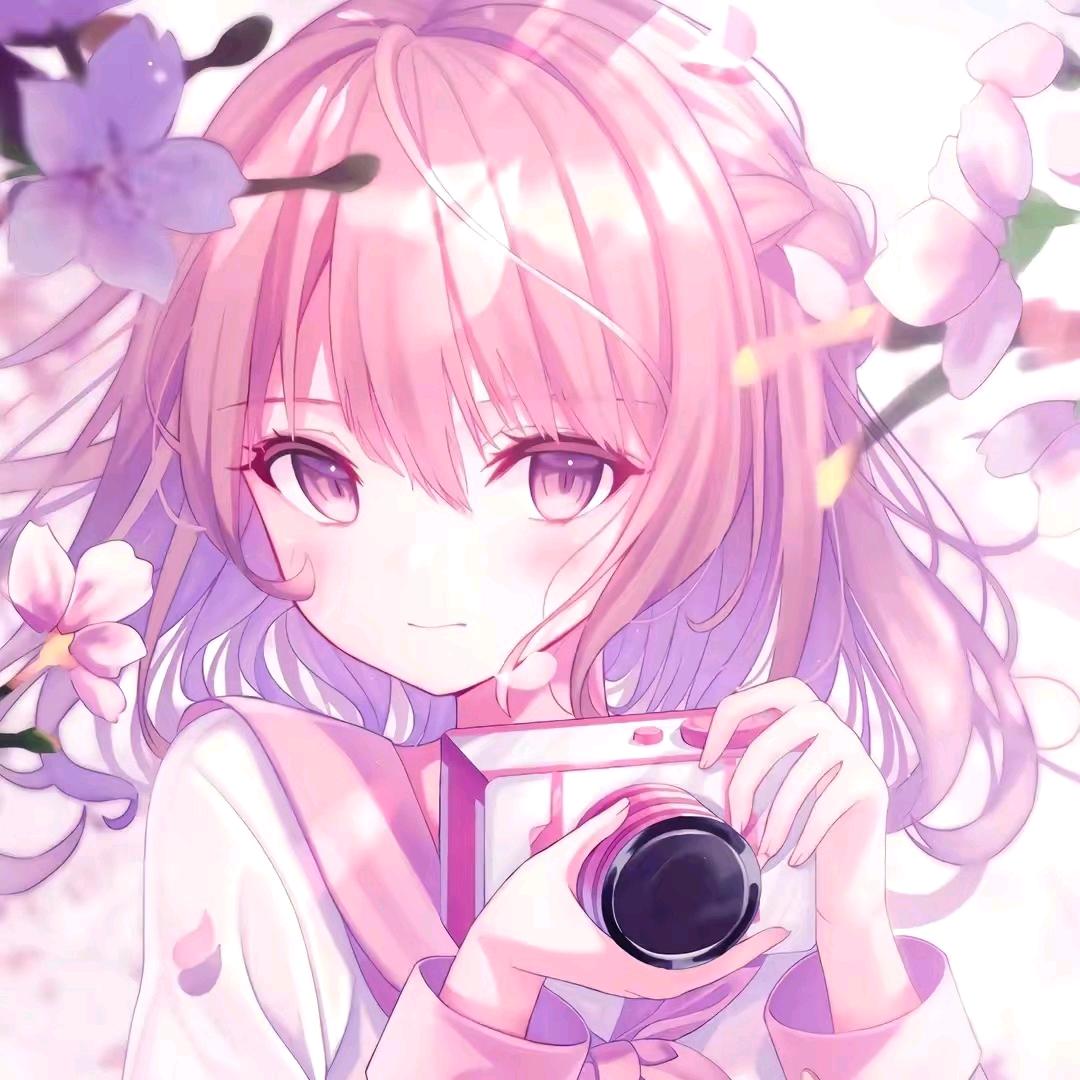 皖怡