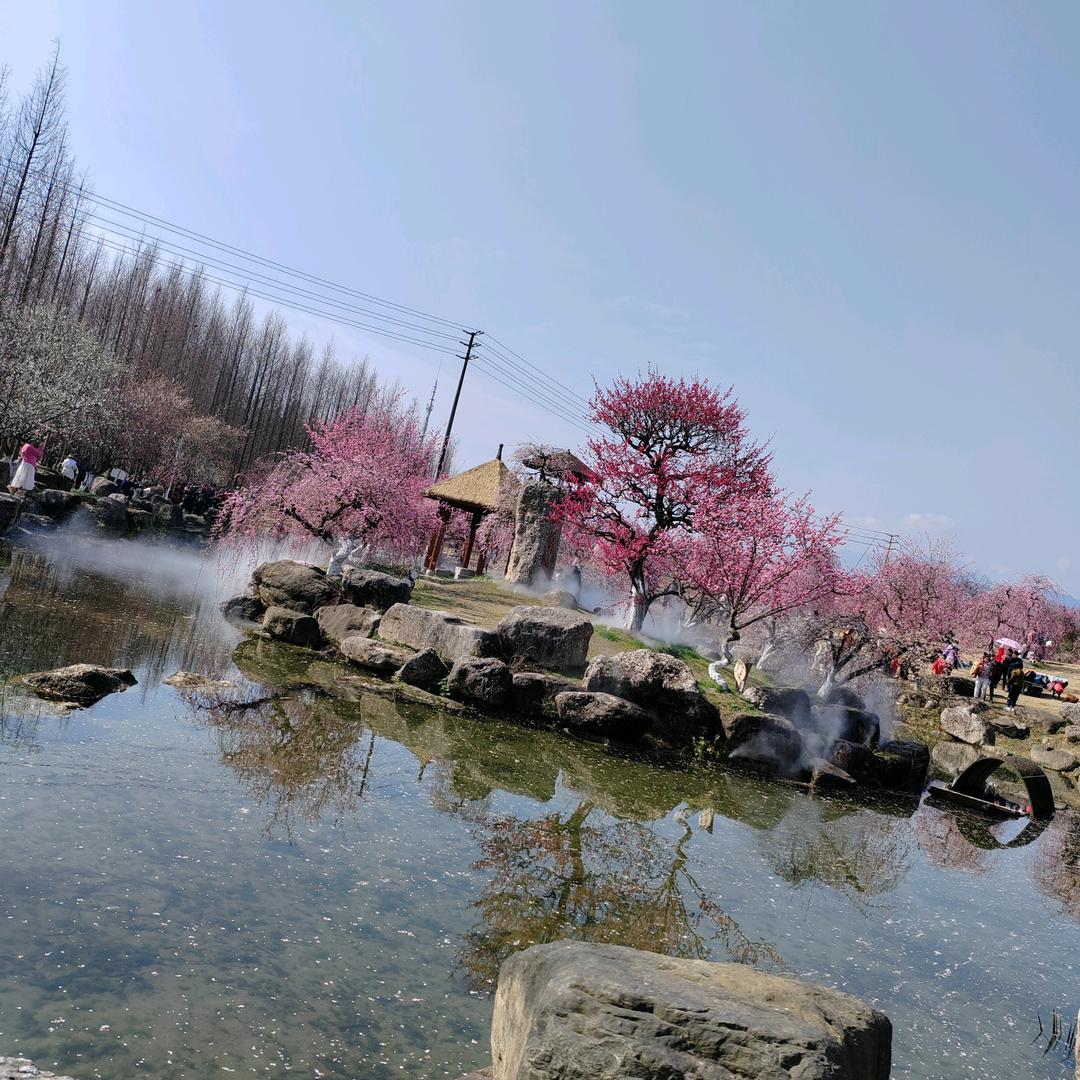 @🌸 ๓᭄ꦿ听໊闻ړ余໊生࿐🌸