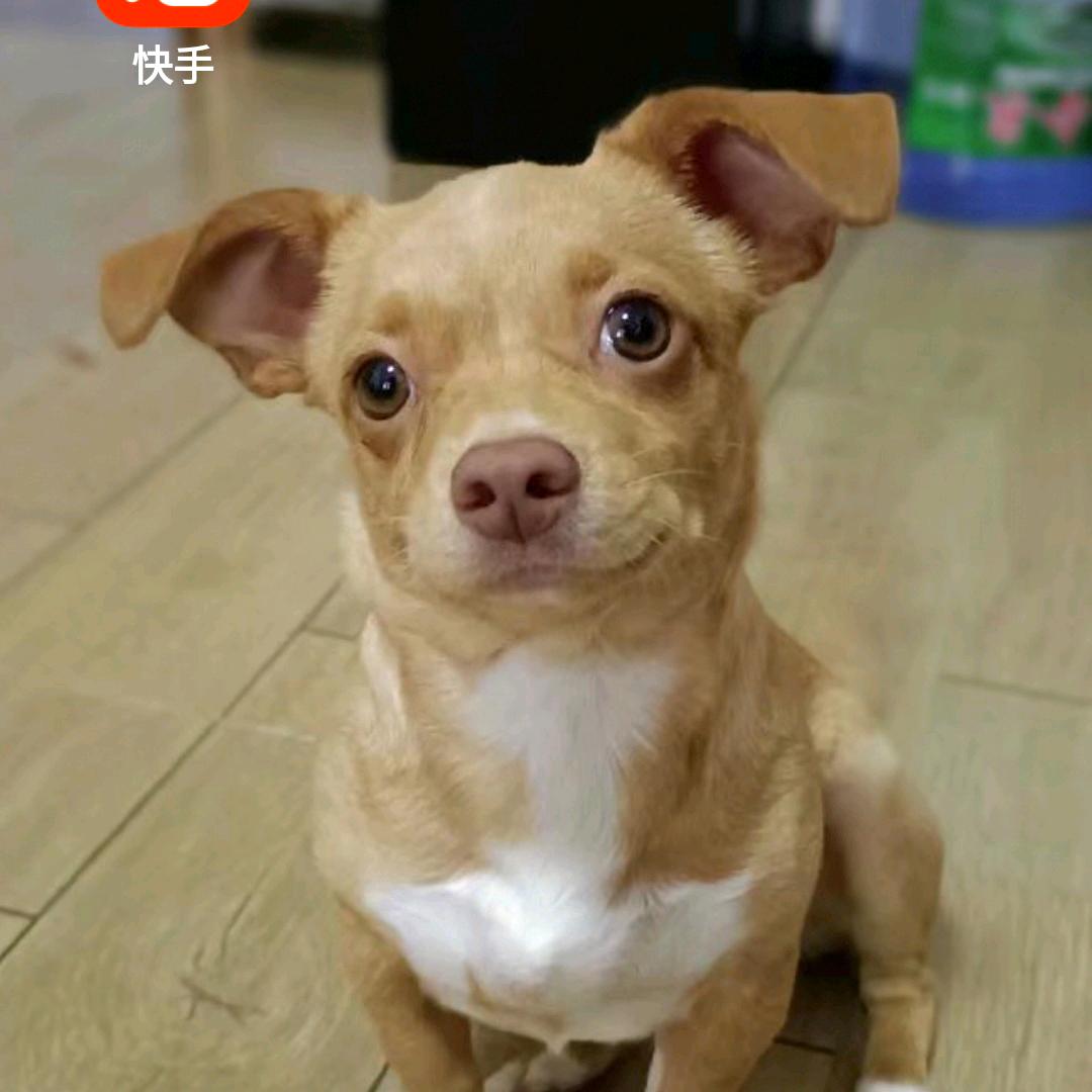 风轻云淡(拒私聊)