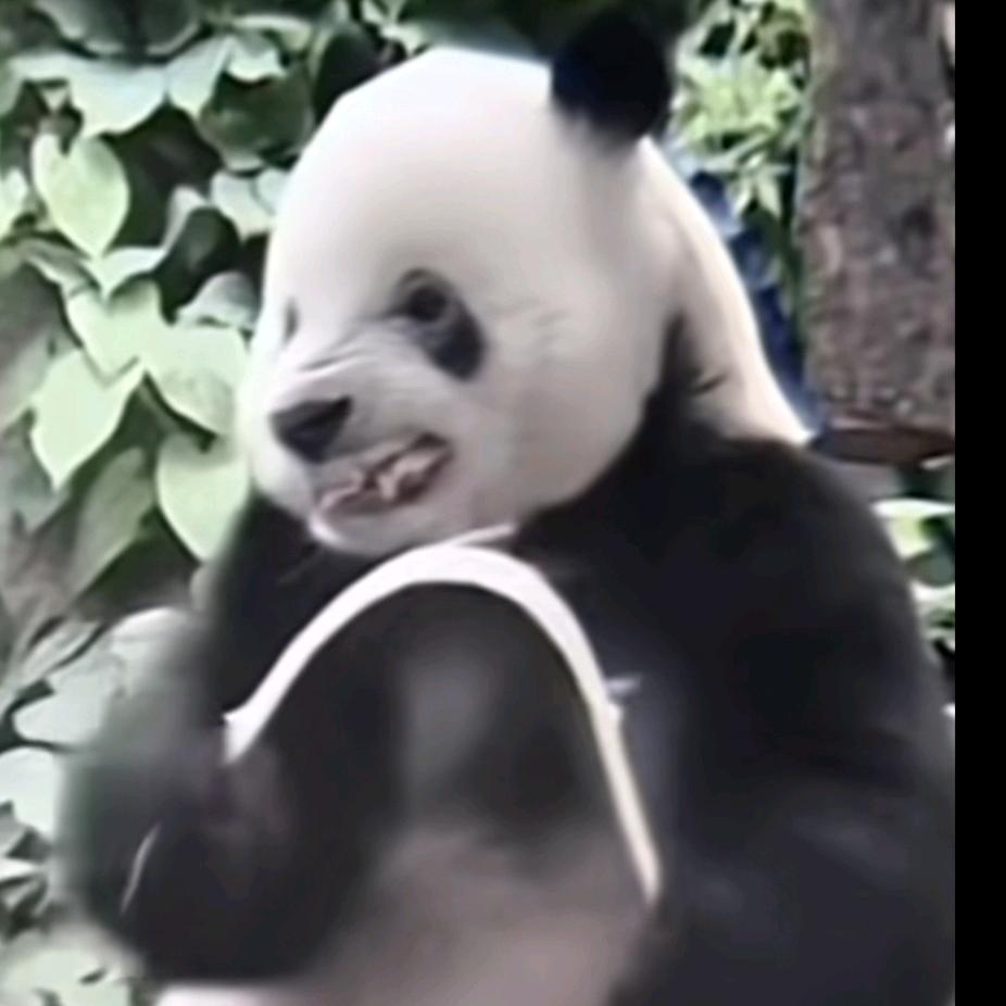 其乐无穷