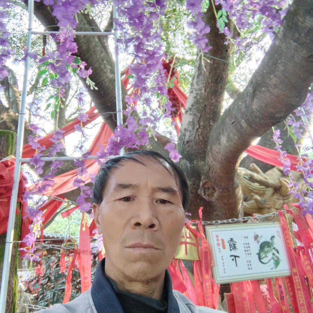 用户3479371818819