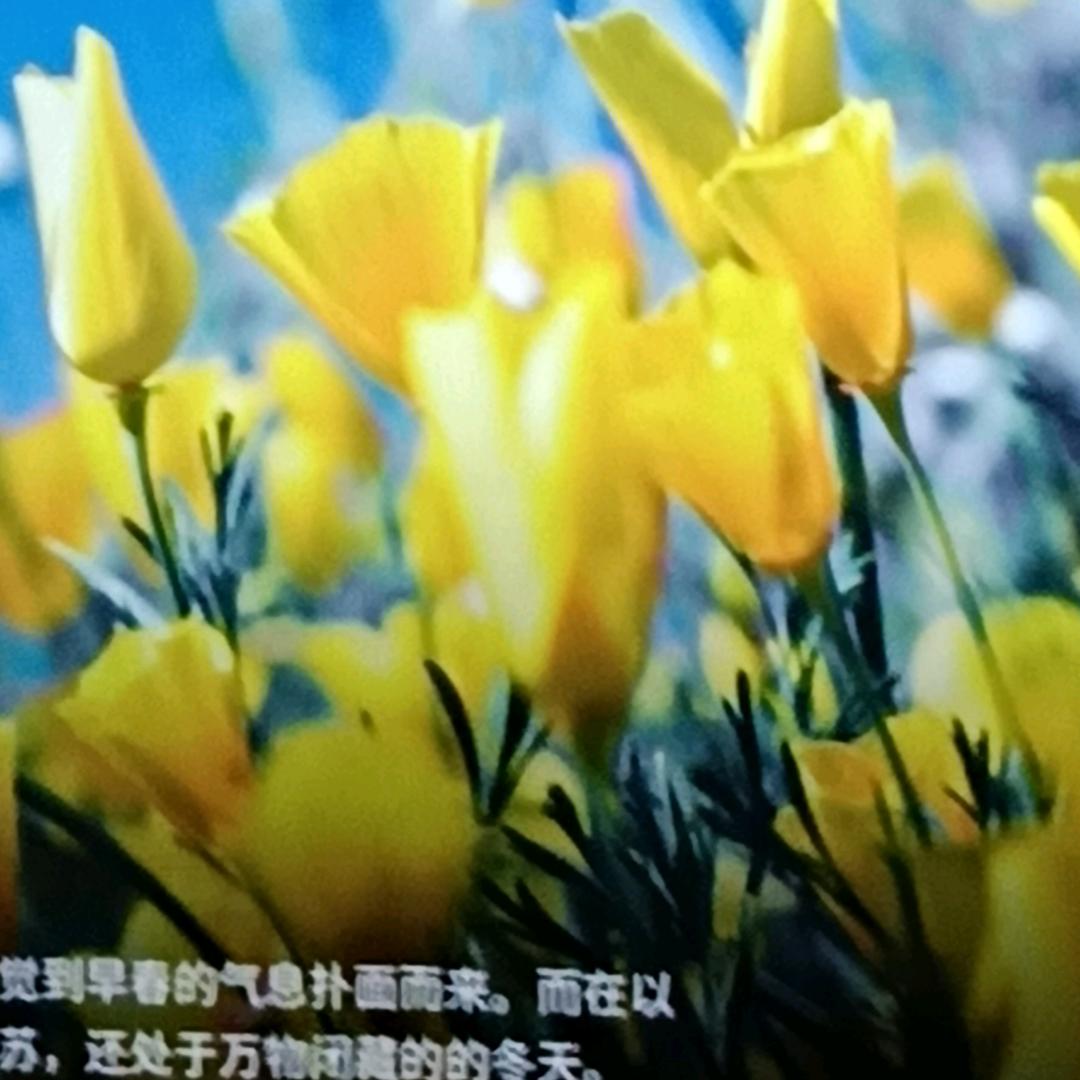 ♥余生安好♥