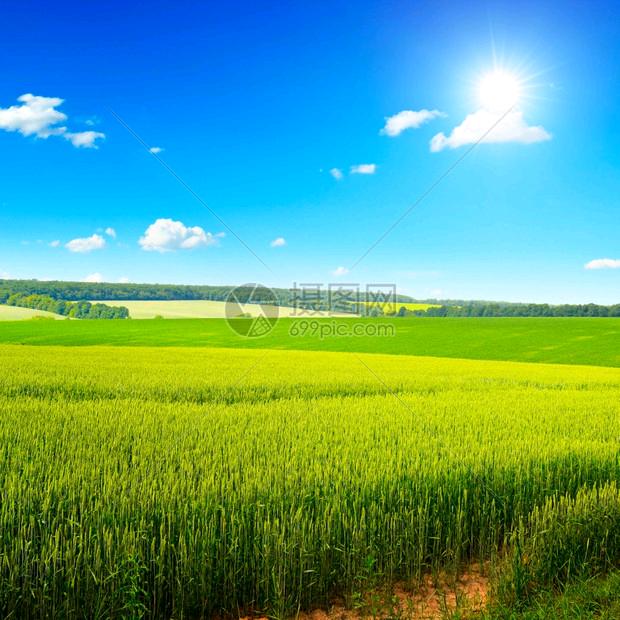 乡村生活顺口溜