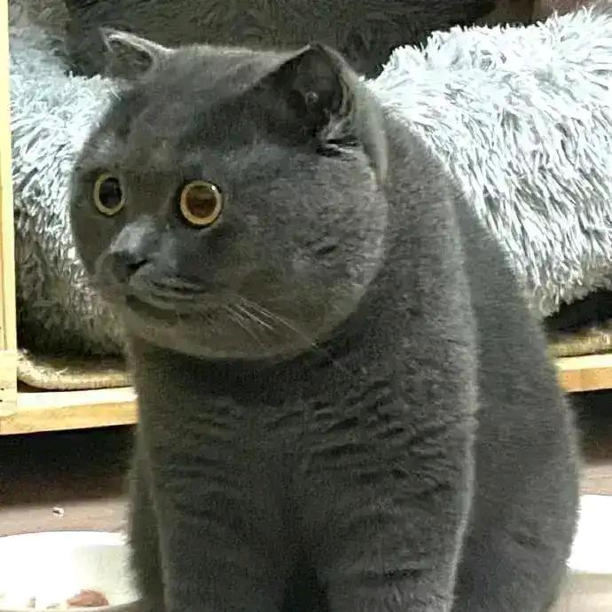 用户2265692305270