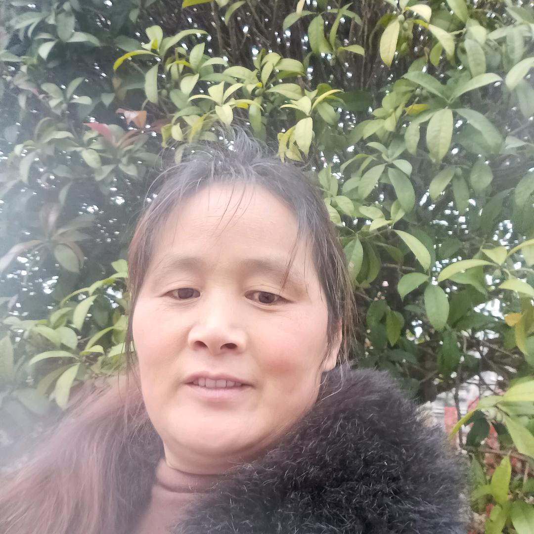 戴戴姐