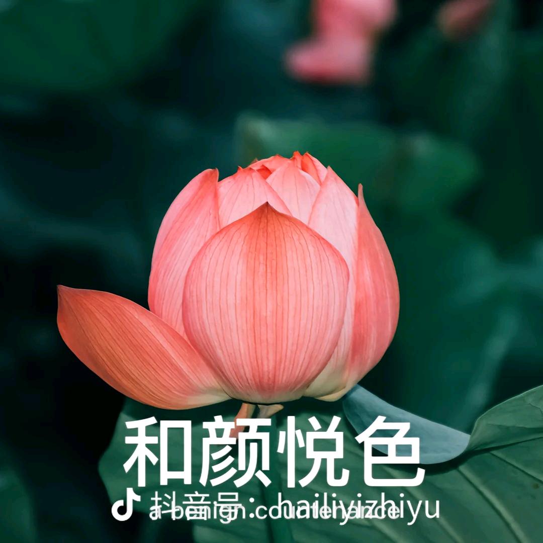 平安
