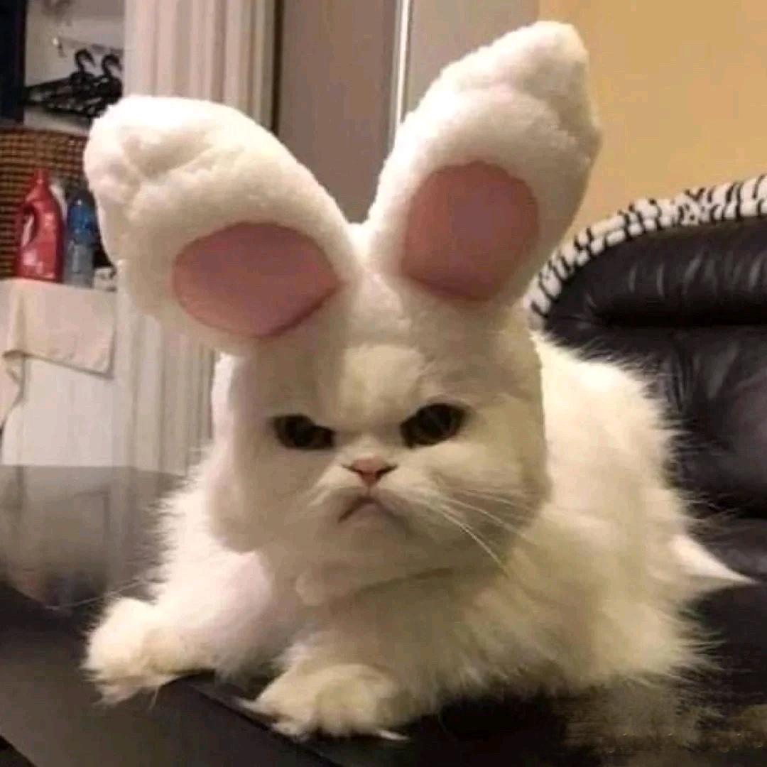 Ssss