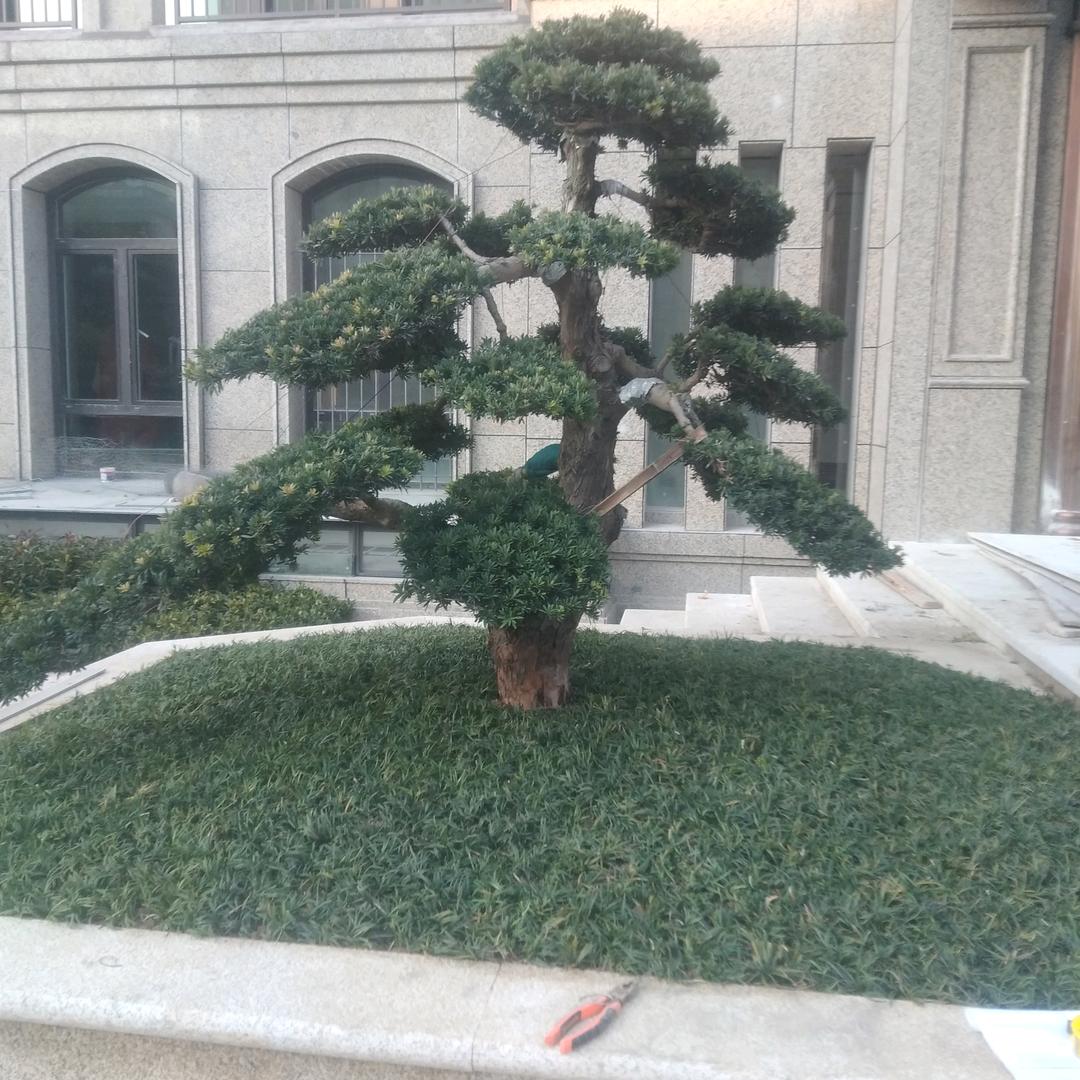 我爱我家🙏❤❤❤🌹🌹?