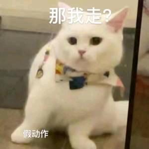 镜沧