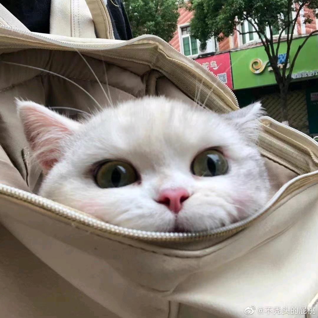 ๐˙Ⱉ˙๐
