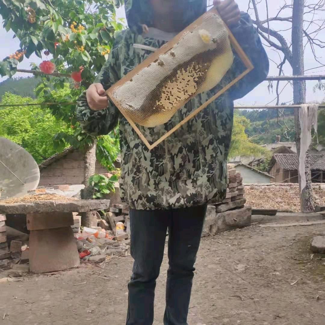 山野牧蜂