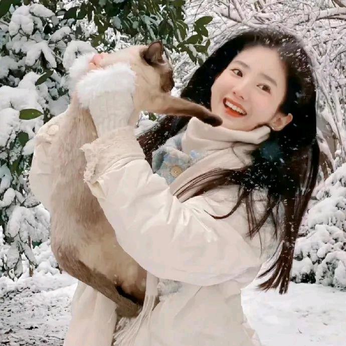 你是不是尔多龙🌾