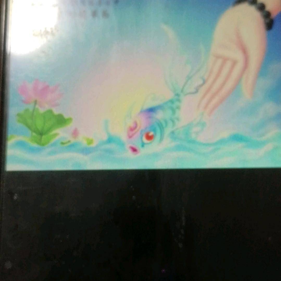 年花