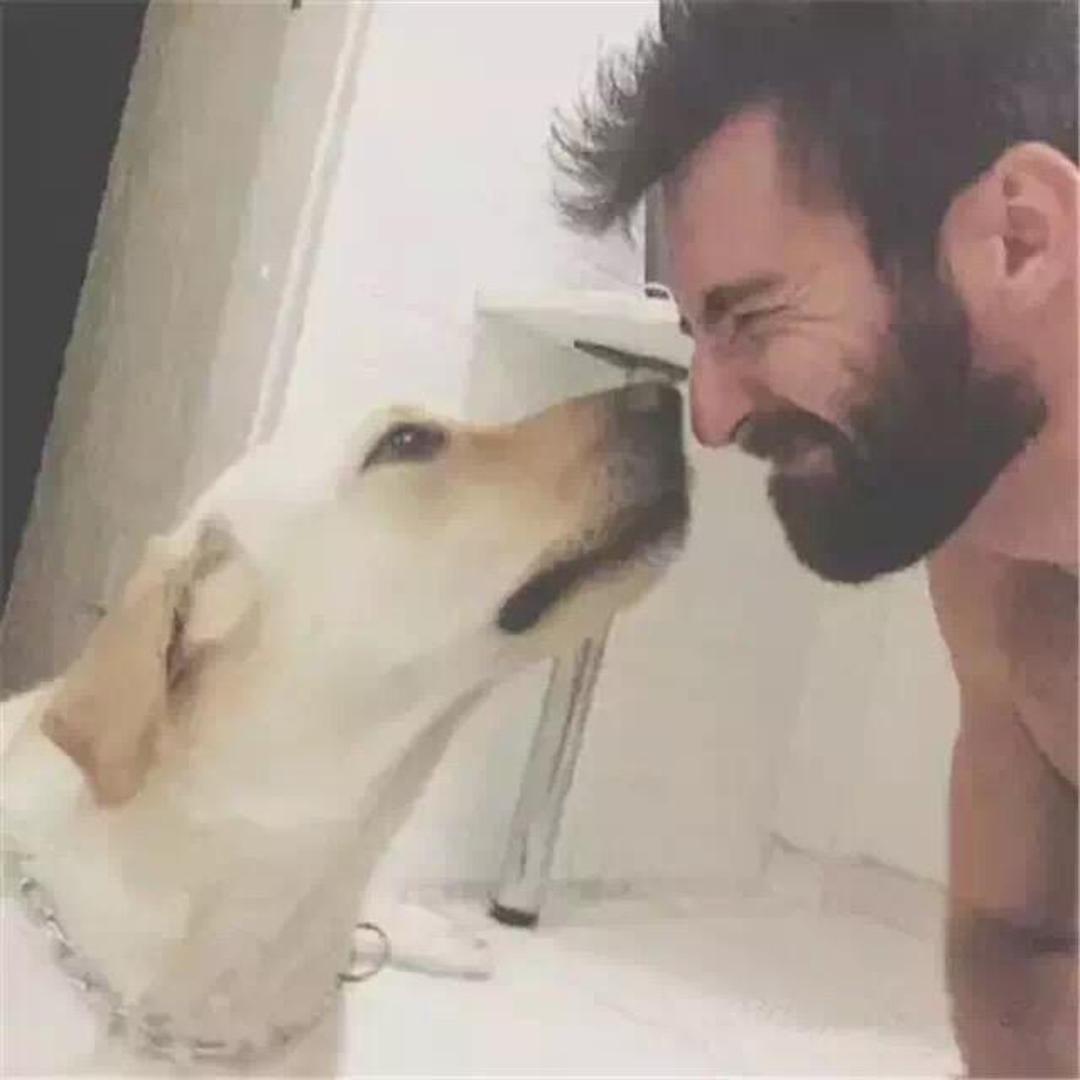 风起@