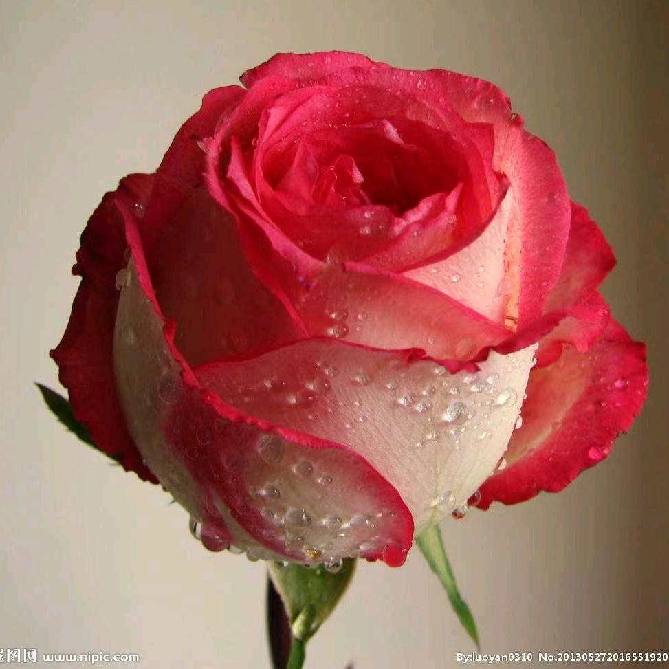 🦋ꦿ໊余生᭄🕊随心᭄ꦿᩚ٭