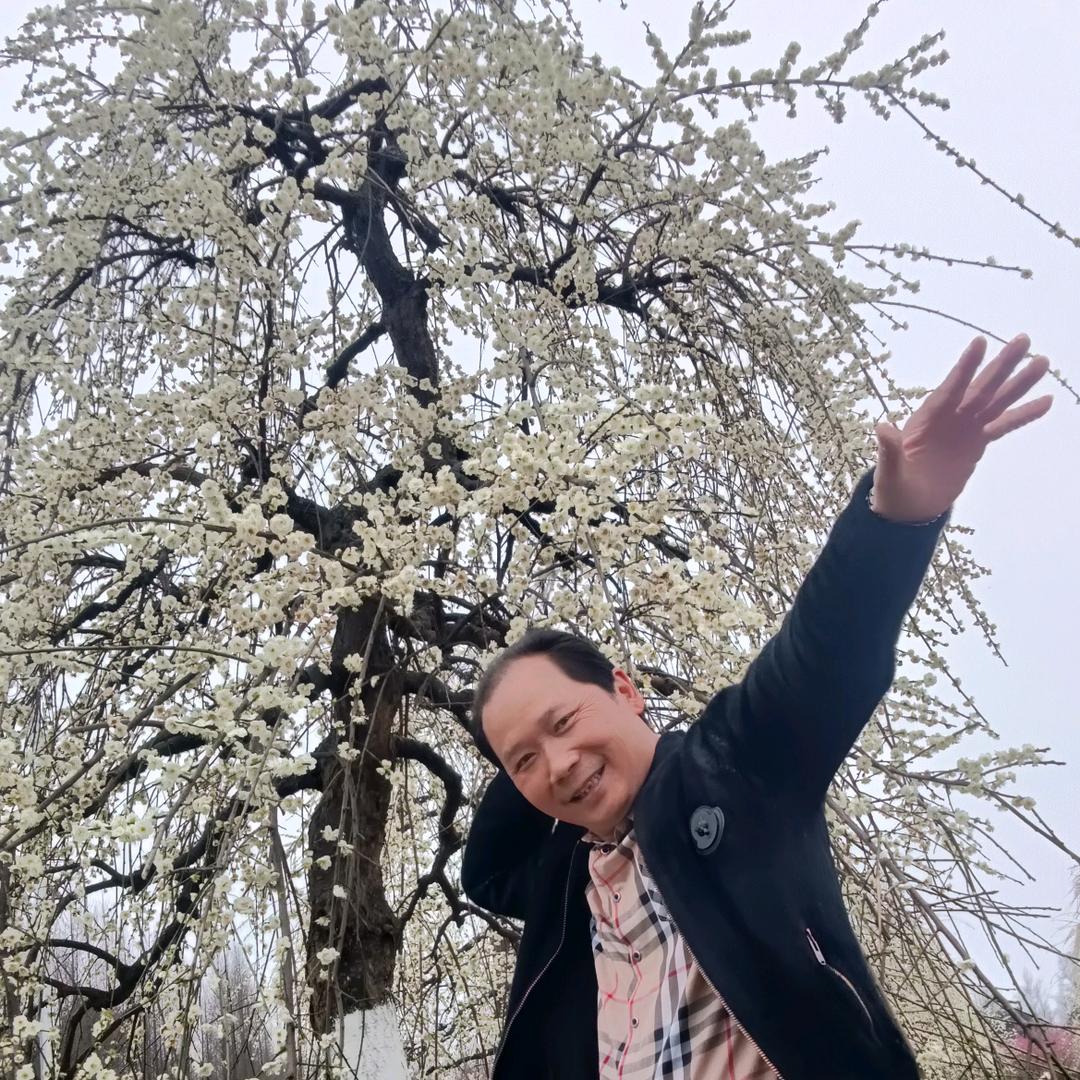 洪哥爱上曳步舞