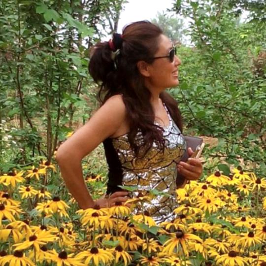 雲起～禅意书画